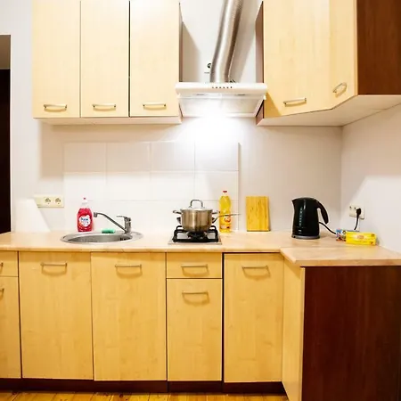 Spacious Stylish In Center
